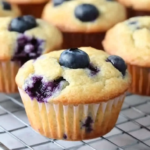 High Protein Blueberry Muffins