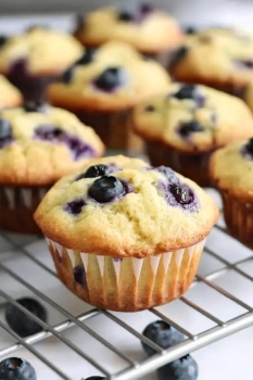 High Protein Blueberry Muffins